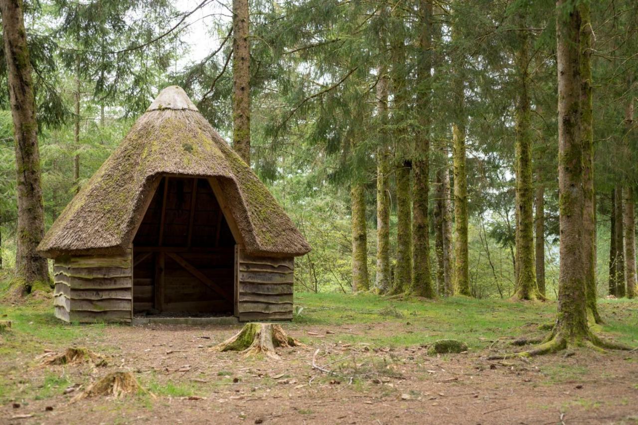 Chambre d'hôtes des Monédières Acomodação com café da manhã Treignac Exterior foto